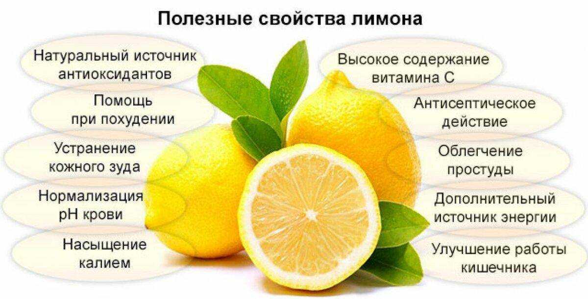 Грейпфрут: полезные и опасные свойства