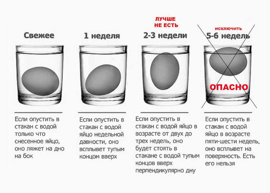 Правильное хранение белка — способы и правила | что и как хранить