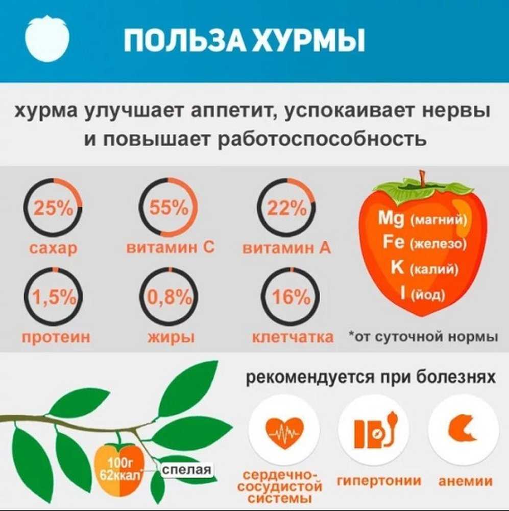Хурма при беременности: чем полезна во время гестации, и можно ли ее есть в свежем или сушеном виде перед родами или при лактации